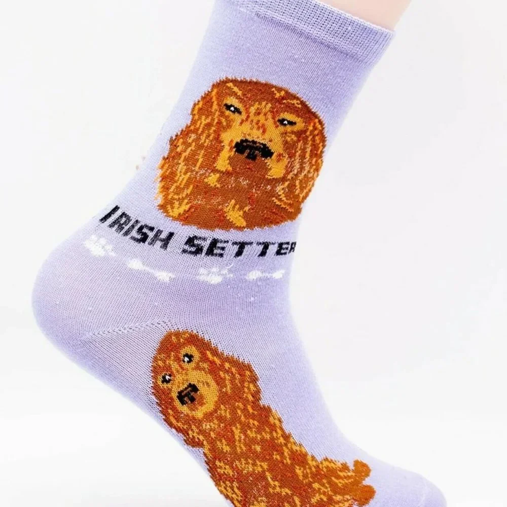Irish Setter Hunting Gundog Dogs Rescue Friendly Animal Dog Foozys Socks
